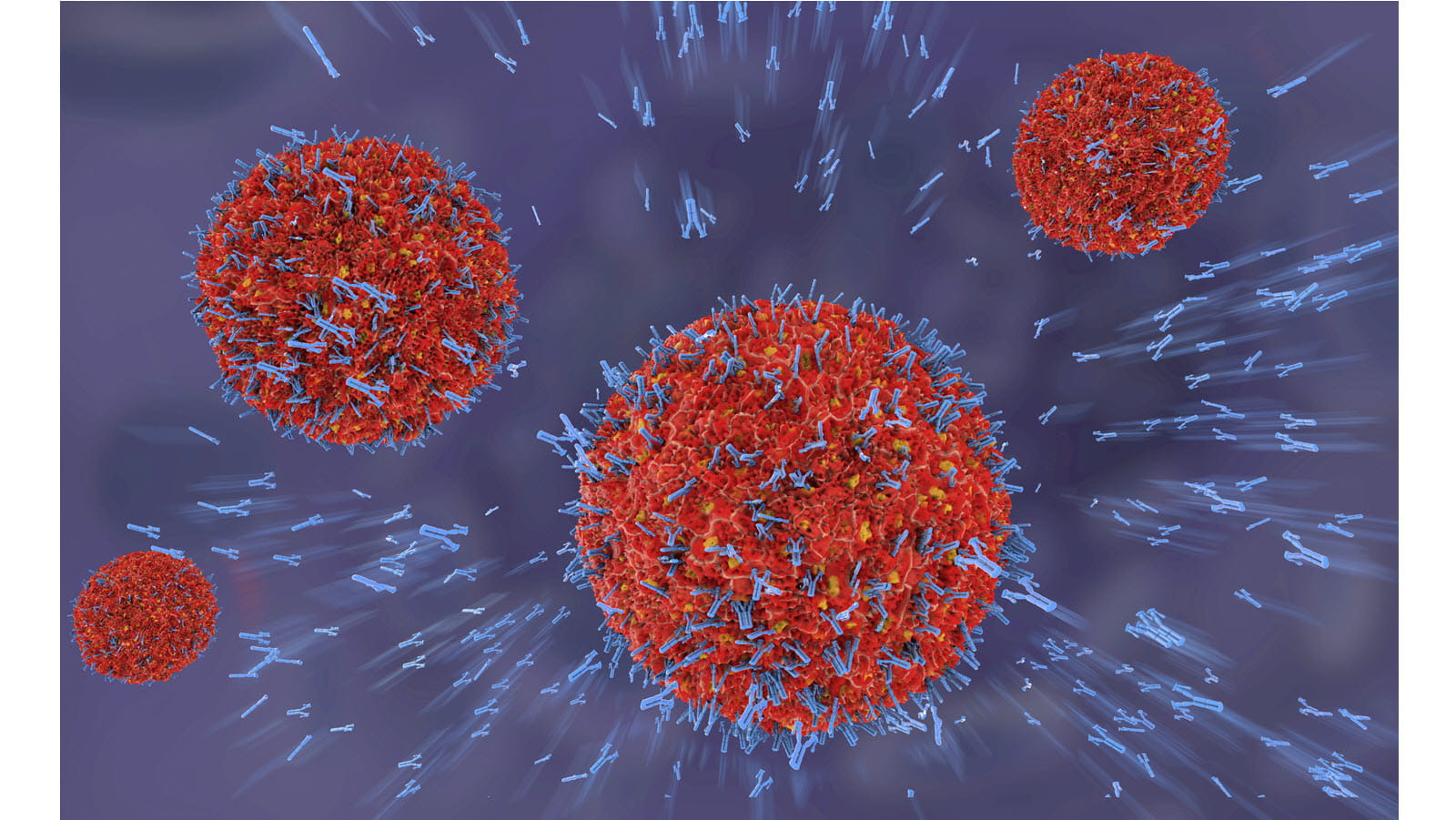 Antibodies Protect Human Cells from Most HIV Strains | National Institutes  of Health (NIH)