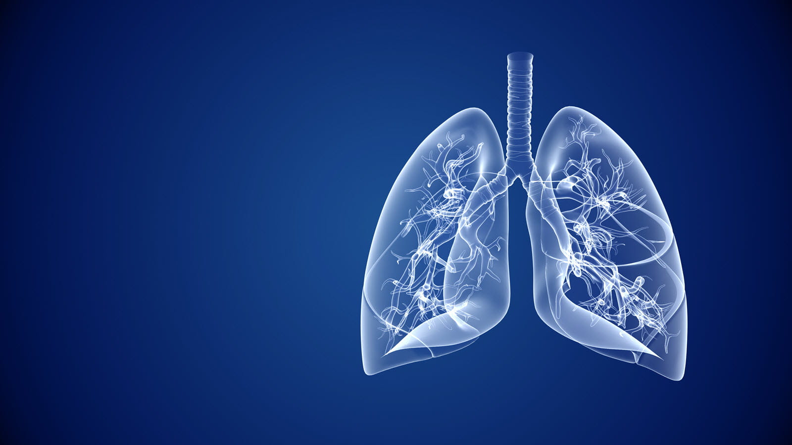 Stem cells might heal damaged lungs, Respiratory HD wallpaper | Pxfuel